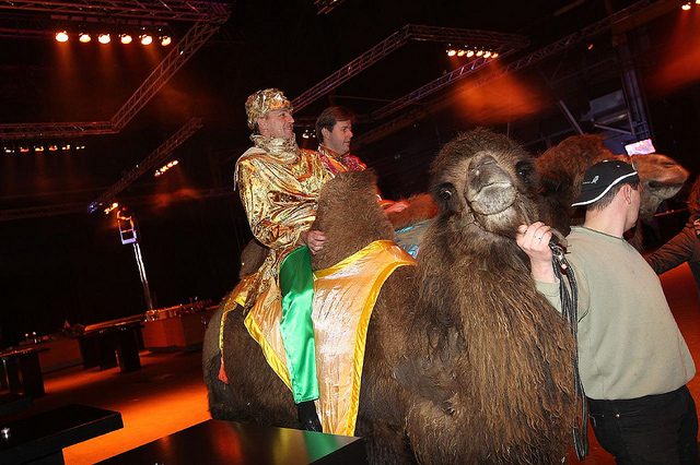 Arabian Secrets Themafeest ontvangst met kamelen 